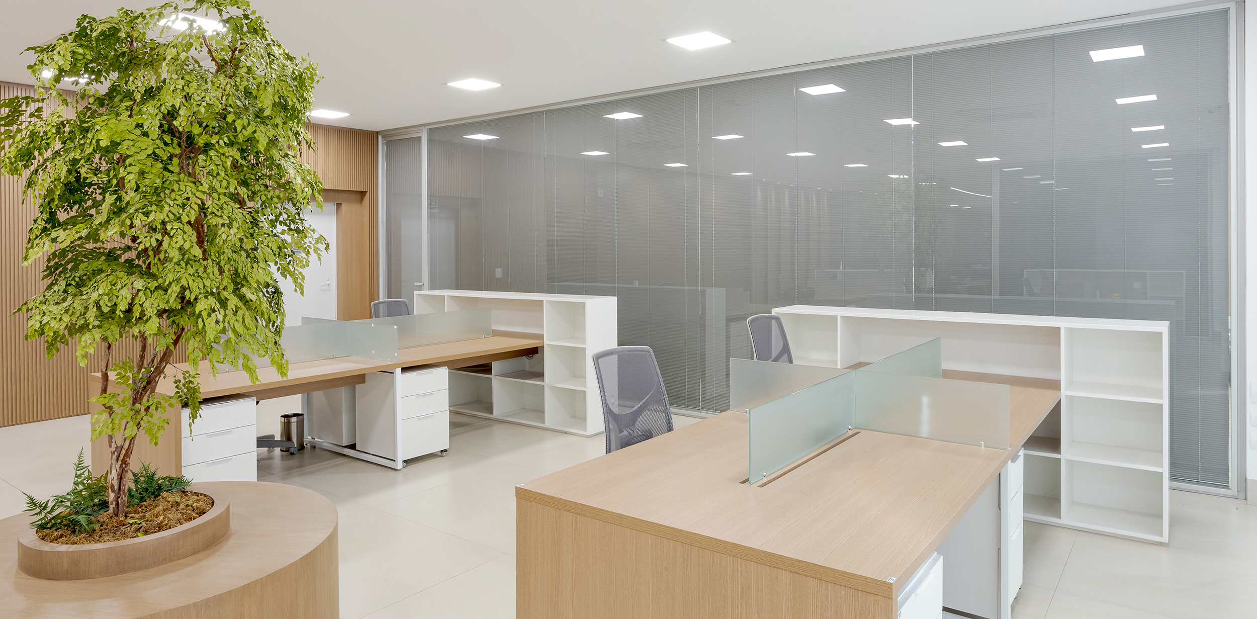 croma_250618-7937